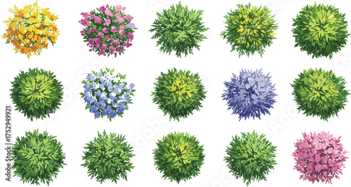Top view bushes, colorful shrubs illustration, ornamental plants vector, garden foliage design, botanical drawing, eco friendly greenery, landscaping vegetation artwork