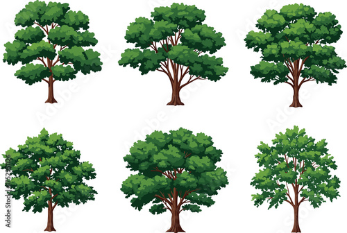 Tree illustration set, deciduous foliage artwork, green nature vector, landscape design element, eco-friendly clipart, botanical drawing, forest graphic, garden decoration