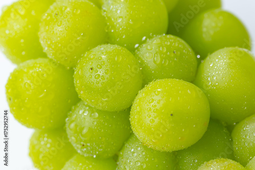 シャインマスカット