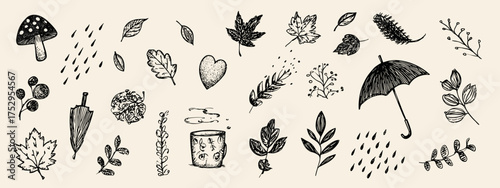 Hand-drawn botanical illustrations collection