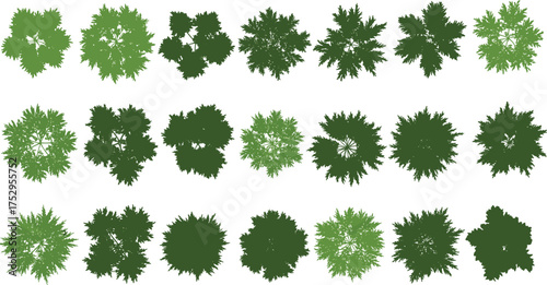 Trees, top view, green canopies, foliage illustration, nature design, outdoor greenery, landscaping elements, decorative plants, forest texture, aerial view, natural pattern