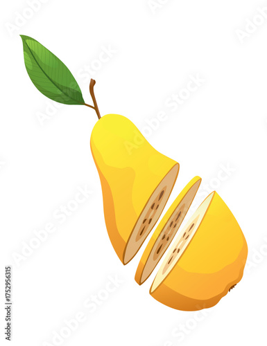 Yellow pear food cut half, piece, part and slice chopped of fruit. Harvest ripe fruit. Popular healthy garden food pear. Vector flat illustration