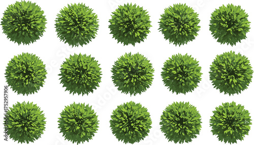 Bushes, shrubs, spherical foliage, green plants, ornamental design, landscaping elements, garden decoration, outdoor greenery, nature illustration, decorative pattern, symmetrical plants