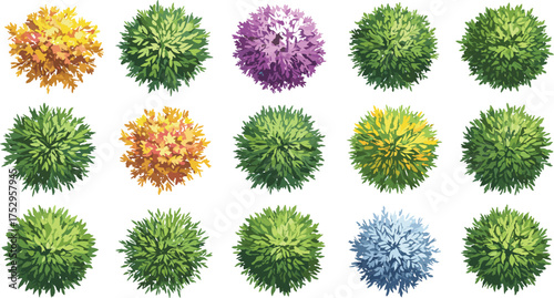 Bushes, shrubs, top view, colorful foliage, ornamental plants, landscaping design, garden decoration, seasonal variations, nature illustration, decorative greenery, vibrant textures