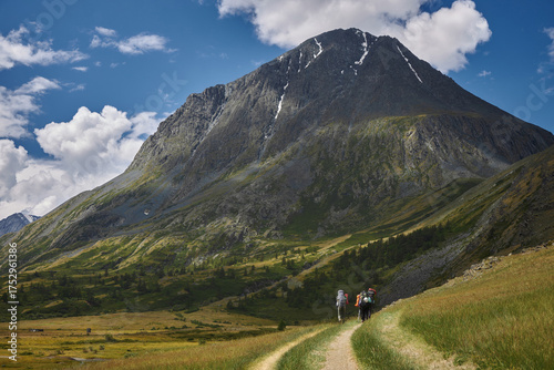 Adventurers trek along a winding path against a backdrop of tall mountains and lush greenery, enjoying a clear blue sky dotted with clouds on a sunny day. Russia, Altai Mountains