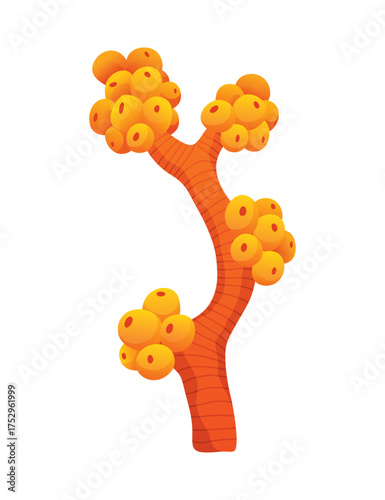 Seaweed and corals isolated on white background. Underwater algae. Aquarium plant. Vector marine life. Vector isolated corals and algae. Underwater flora