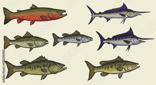 Colorful Illustration of Different Fish Species on Light Background for Marine Life