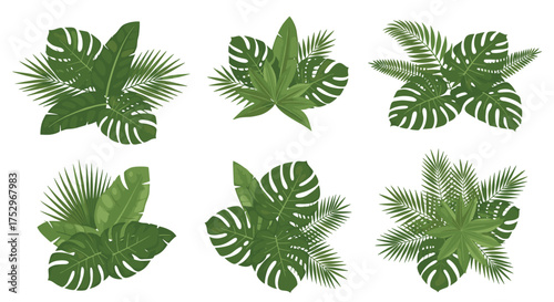 A collection of diverse tropical plant arrangements viewed from above.