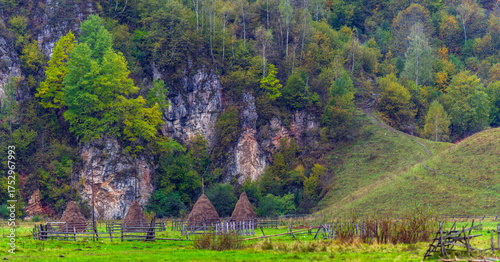 Traditional haystack with a raised wooden base and a central stake, Fundătura Ponorului, Hunedoara County, Romania. Rural architecture and farming heritage.