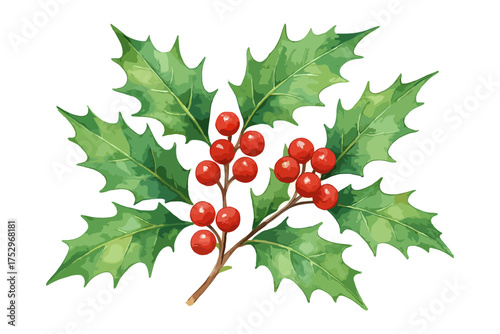 A vibrant watercolor illustration of holly leaves with red berries, perfect for the holiday season. A festive and colorful design symbolizing Christmas. Vector illustration.