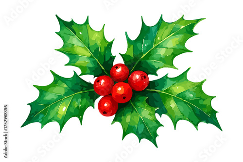 A bright and colorful illustration of holly leaves with red berries, perfect for Christmas and holiday-themed designs. A vibrant, festive botanical decoration. Vector illustration.