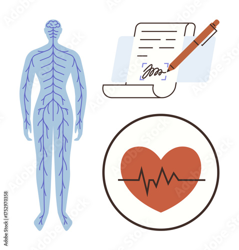 Human nervous system diagram, heart with pulse graphic, and signed document. Ideal for healthcare, medical study, anatomy, insurance, research wellness diagnostics. Simple flat metaphor