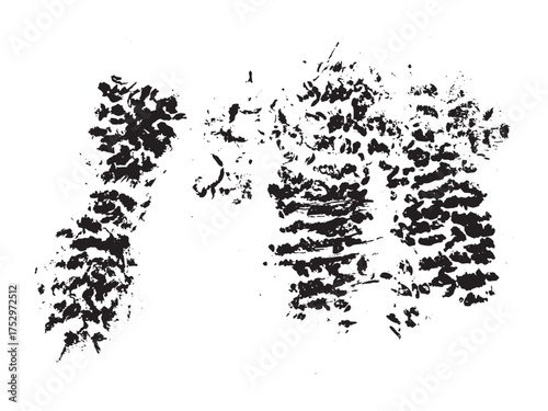 Vector black abstract hand-drawn ink dot texture. Black and white pattern for packaging, cosmetic labels, social media, poster design. Minimal calligraphy doodle style.