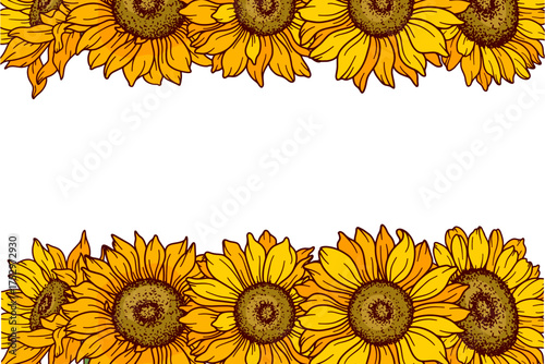 Sunflower frame vector illustration. Sunflowers isolated. Botanical floral illustration. Sunflower background with greenery