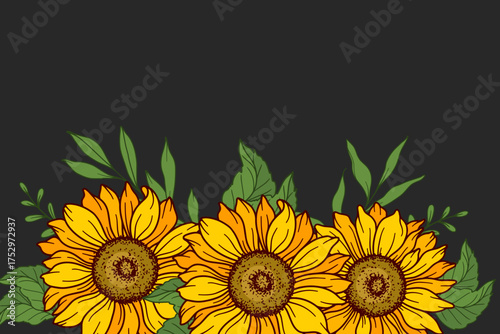 Sunflower frame vector illustration. Sunflowers isolated. Botanical floral illustration. Sunflower background with greenery