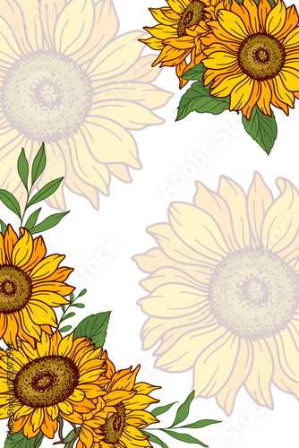 Sunflower frame vector illustration. Sunflowers isolated. Botanical floral illustration. Sunflower background with greenery