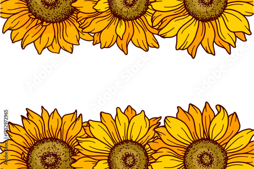 Sunflower frame vector illustration. Sunflowers isolated. Botanical floral illustration. Sunflower background with greenery