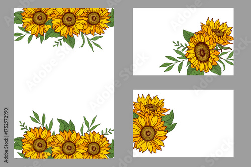 Sunflower frame vector illustration. Sunflowers isolated. Botanical floral illustration. Sunflower background with greenery
