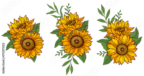 Sunflower vector illustration. Sunflowers isolated. Botanical floral illustration. Yellow summer flower