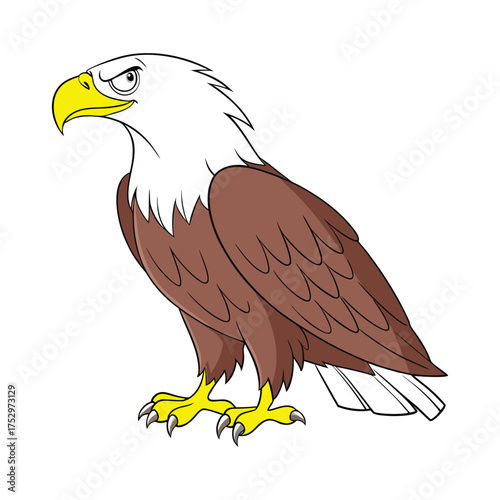 Soaring Eagle Black White Design