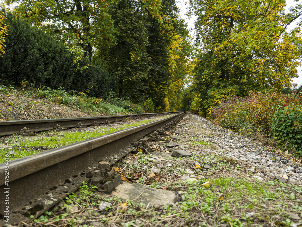 Fototapeta premium railway in the woods