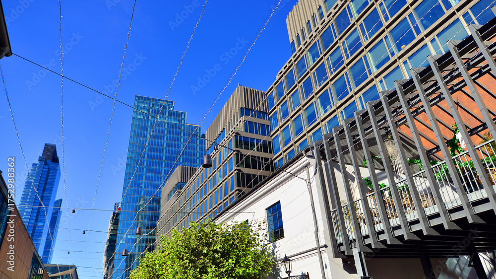 Fototapeta premium Modern luxury office building.The structure features a glass and concrete walls, showcasing contemporary architecture. The green surroundings of office buildings. Trees and shrubs in the city.