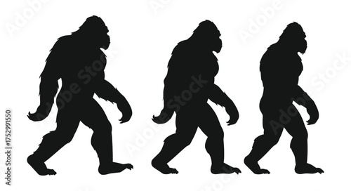 Three silhouetted gorillas walking in a row a captivating wildlife scene