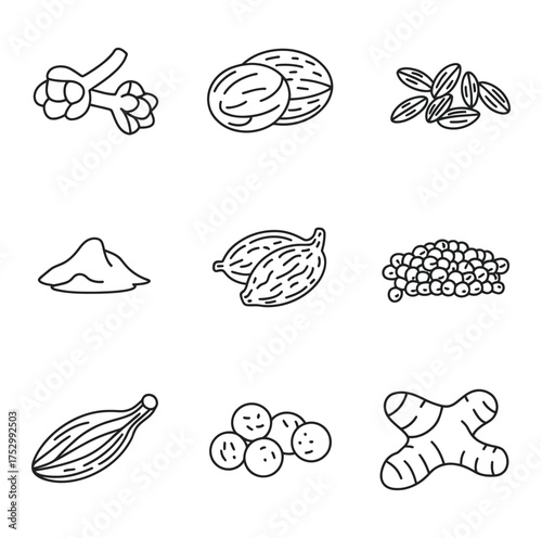 Various spices and herbs depicted as line art ginger cardamom