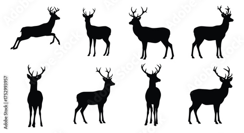 Silhouettes of majestic deer in various poses against a white background