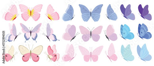 Butterfly collection. Colorful illustration. Butterflies clipart set. Baby shower design elements. Party invitation, birthday celebration. Spring, summer decoration. Pink yellow red wings