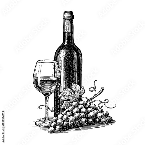 Wine Bottle Glass and Grapes Engraving Vector Illustration