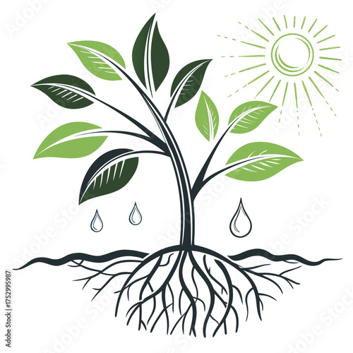 Nourishing Roots and Growing Life: An illustrative depiction of a plant thriving, with its roots firmly grounded, symbolizing growth, nourishment.
