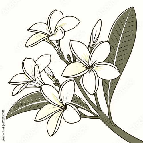 Elegant Floral: A detailed illustration captures the delicate beauty of a fragrant bloom with delicate petals, showcasing the intricacies of nature's design.