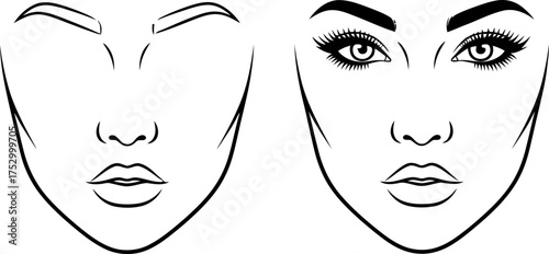 Woman face before and after makeup with thick eyebrows and long lashes. Beauty transformation concept. Vector illustration for visage, cosmetic