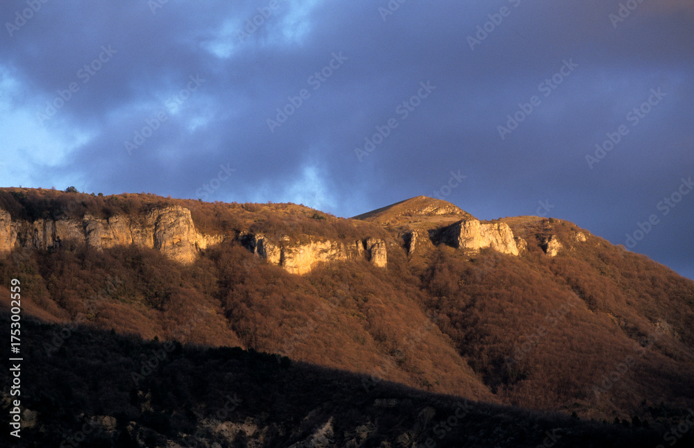 Fototapeta premium 021408 - 04 -.jpg