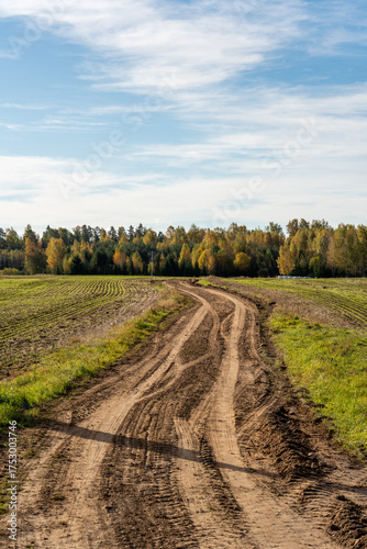 Rustic Dirt Road with Deep Tire Tracks in an Autumn Field
