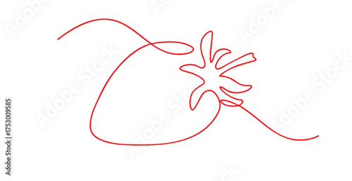 Line art strawberry