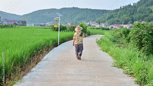 A farmer carrying a hoe walks on a country road