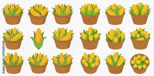 Illustration of corn cobs in baskets, arranged in rows on a transparent background.