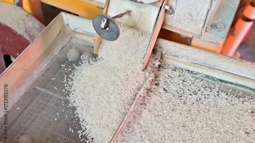Rice milled by rice milling machine