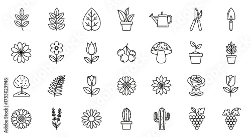 Gardening & plant thin line icon set. Vector nature symbols. Flower, leaf, tree, cactus, mushroom, potted plant, watering can, shears, grapes. Outline pictogram collection.