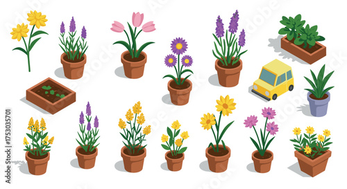Charming isometric garden with flowers and potted plants