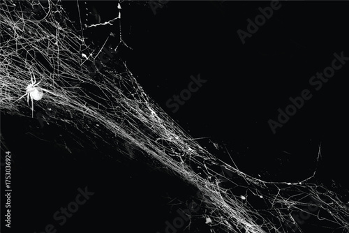 Spider web isolated on black grunge background. Cobweb frame. Halloween party. Texture of spider web. Halloween decoration. Gothic style