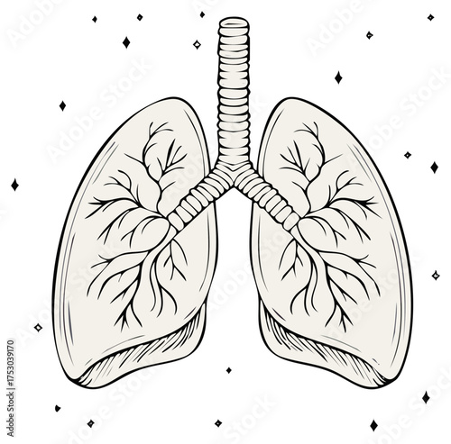 Stylized anatomical drawing of healthy human lungs with mystical sparkles