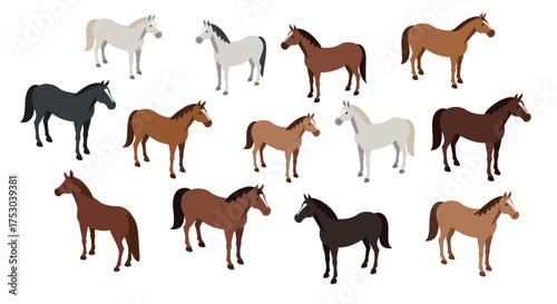 Diverse horse silhouettes in flat design: variety of colors and breeds