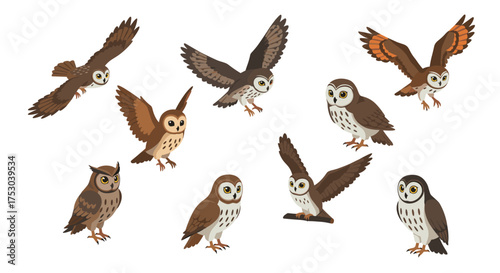 Collection of diverse owl species in flight and perched poses set against white