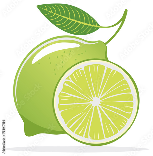Vibrant Green Lime with Leaf and Sliced Half, Fresh Citrus Fruit Illustration