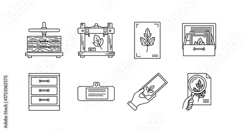 Herbarium creation process outline icon set. Plant press for drying flowers & leaves. Botanical specimen collection for botany science research or hobby. Dried plant archive.