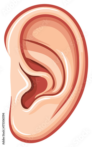 Illustration of a human ear, focusing on the auditory canal and outer structure, with smooth gradients and an anatomical rendering