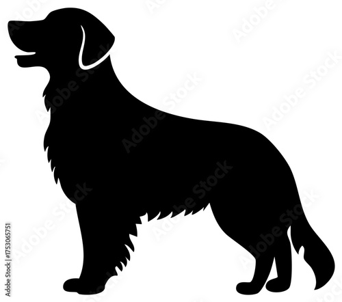 Golden Retriever Silhouette Black Vector Illustration